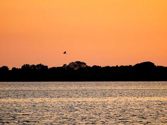 Riserva naturale Laguna di Orbetello di Ponente - Foto di Andrea Neri [Licenza CC-BY-SA 3.0]