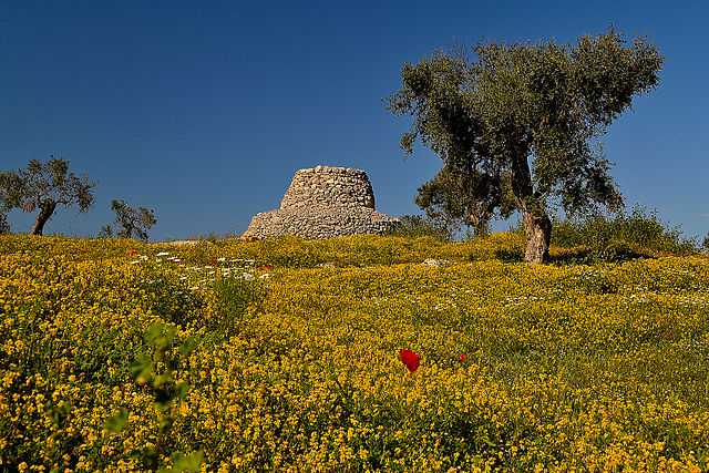 Le Cesine, riseva naturale nel Salento - Foto di Sarabrag [Licenza CC-BY-SA 3.0]