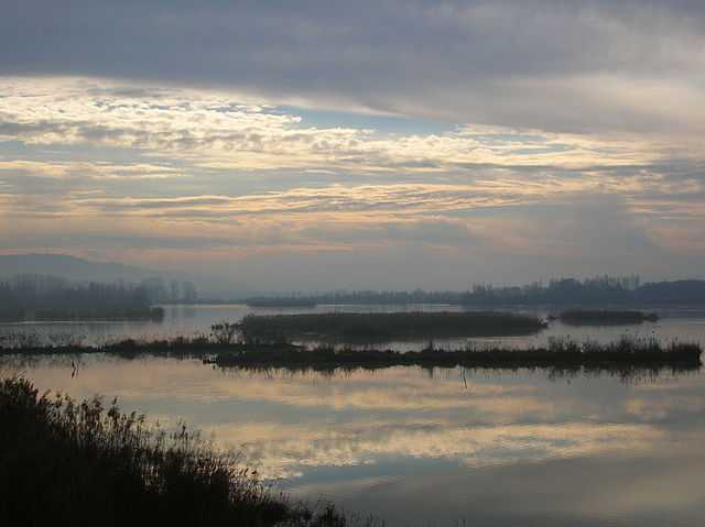 Il lago di Alviano (TR) - Foto di Gianfranco Spazioso [Licenza CC-BY-SA 3.0]