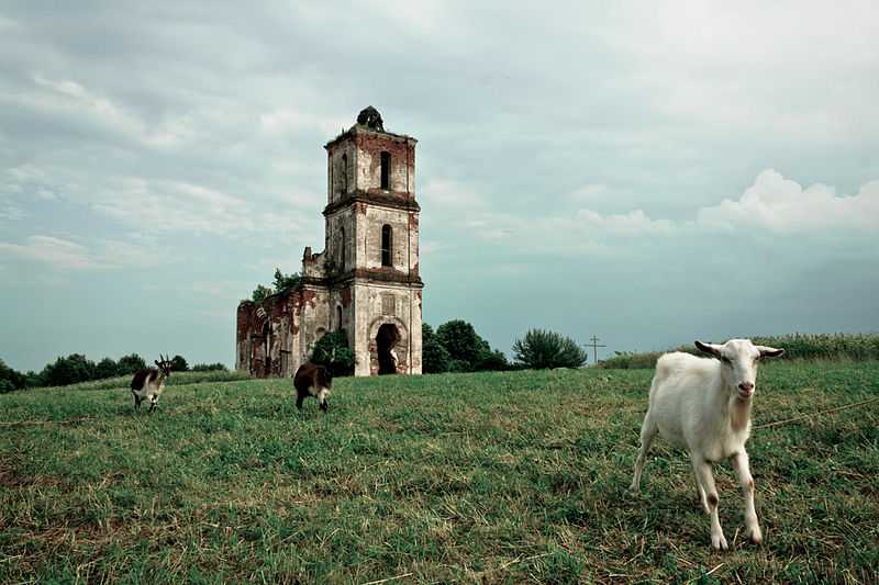 Resti della chiesa della Santa Trinità, Biełaja Carkva. CC-BY-SA Siarhei Shvaiko.