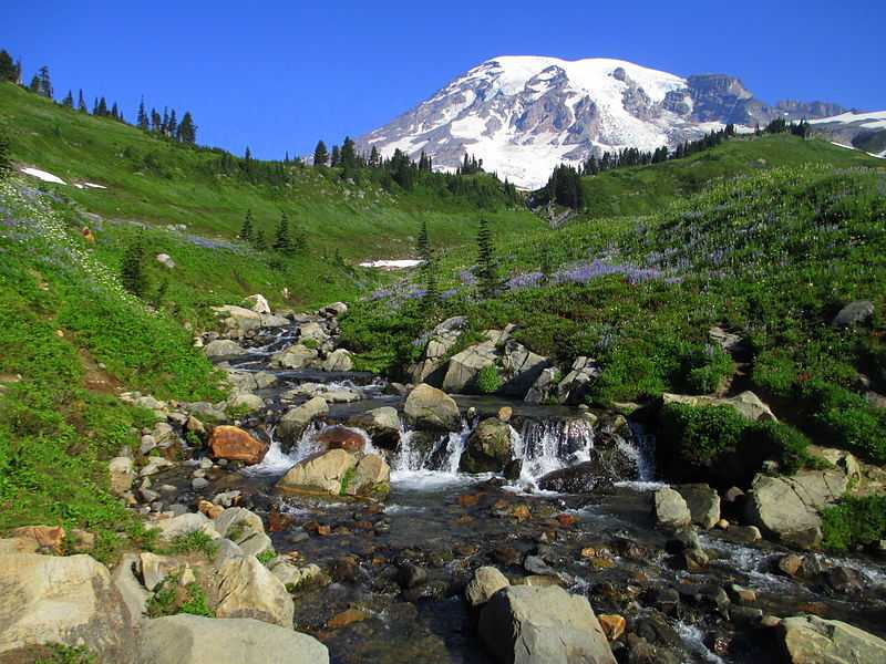 Monte Rainier visto dalle Cascate Myrtle. CC-BY-SA Samuel Kerr