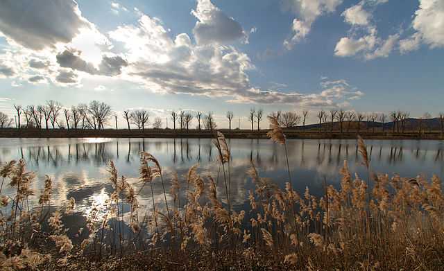 Punta_Macerone_Tuoro_sul_Trasimeno